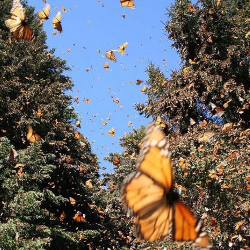 Meet your Posher, Katelyn